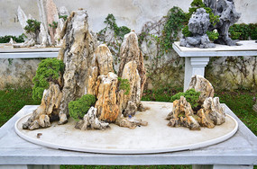 園藝景觀石頭黑松擺件藝術(shù)圖片素材