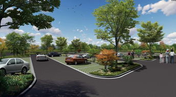 太厲害 倉前這個村要打造3大景區1條精品路線