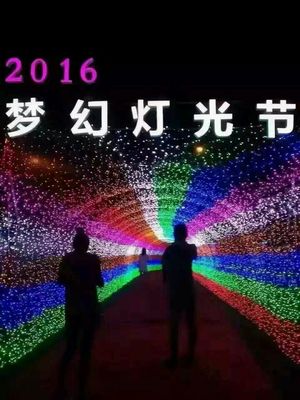 光影賦能，點(diǎn)亮景區(qū)新視界 探訪(fǎng)大型燈光藝術(shù)產(chǎn)品的制作、租售與景觀(guān)藝術(shù)融合