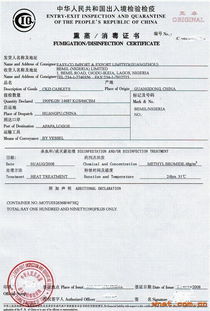 番禺前景進出口貿(mào)易公司 專業(yè)貿(mào)易代理，鏈接全球商機